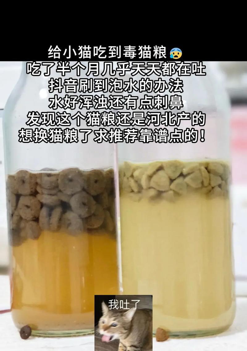 猫粮泡水后为何变得像沙子？这是正常现象吗？