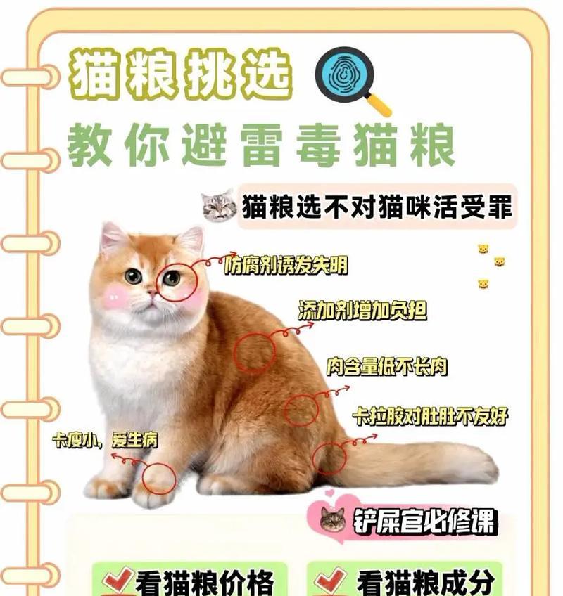 如何防止猫把猫粮弄出来？
