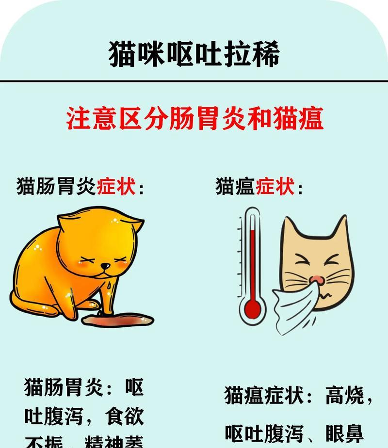 猫咪吐出不消化的猫粮并伴有拉稀正常吗？应该怎么办？
