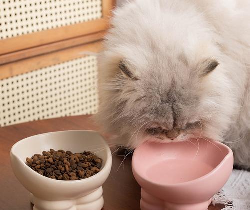 猫粮碗为何要倾斜放置？这样有什么好处？
