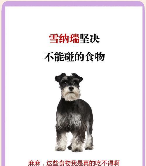 雪纳瑞喂食量怎么算？三个半月大的雪纳瑞一顿应该喂多少克？