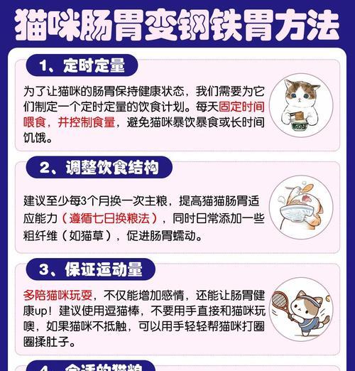 猫粮烘焙的健康秘诀是什么？