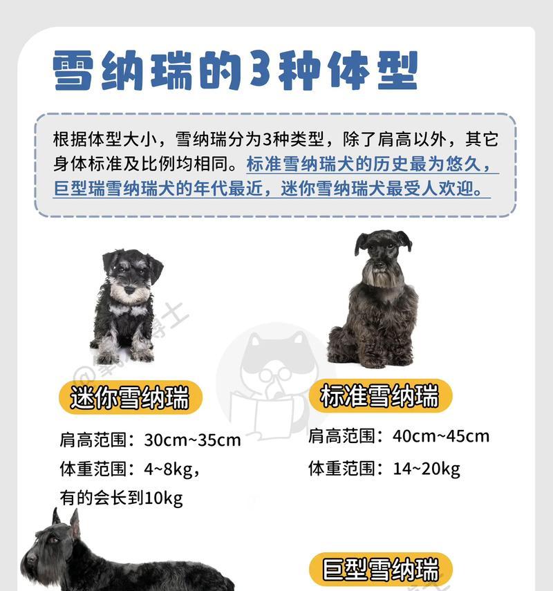 兴义有雪纳瑞犬卖吗多少钱？购买时应该注意什么？