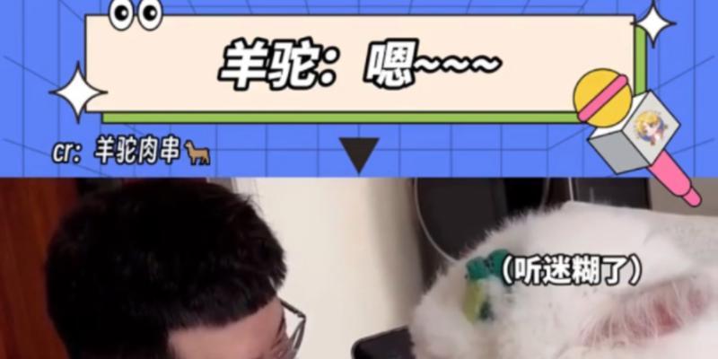 羊驼名字“肉串”的正确读音是什么？
