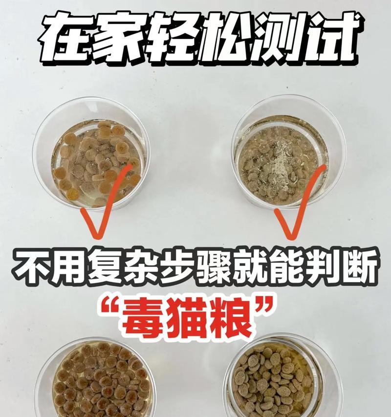 一个月大的猫咪猫粮怎么泡？