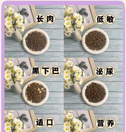花脚猫的猫粮如何制作既美味又营养？