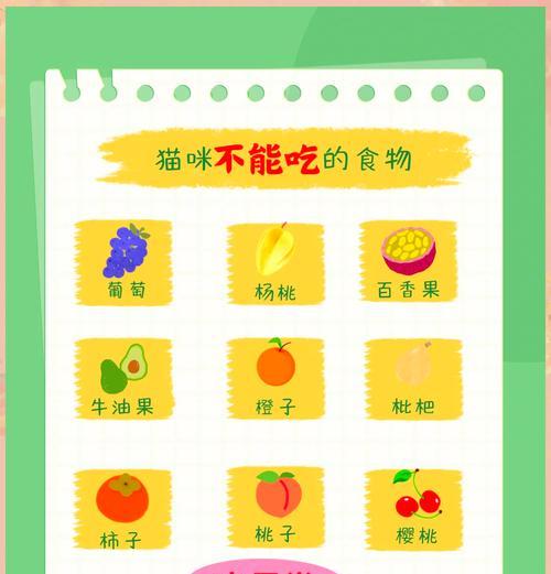 猫咪只吃肉不吃猫粮怎么办？如何调整饮食习惯？