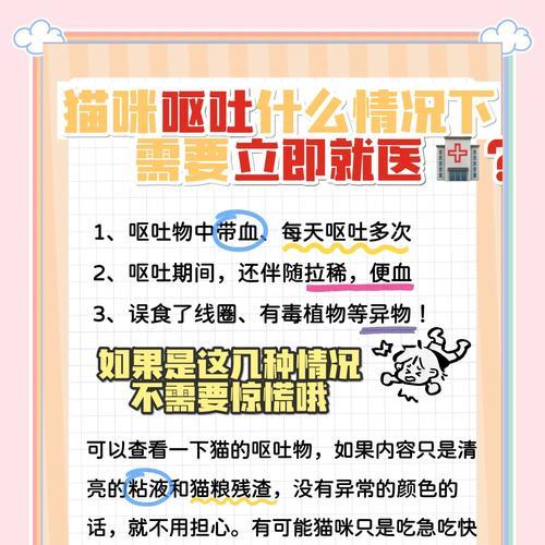 老年猫频繁呕吐猫粮怎么办？可能的原因是什么？