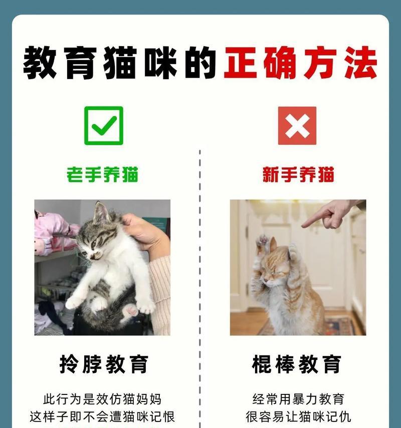 如何教育小孩不要偷拿猫粮？小区放的猫粮被偷怎么办？