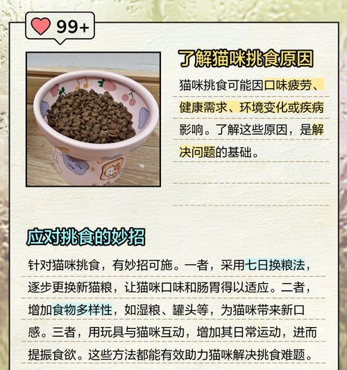 如何教育小孩不要偷拿猫粮？小区放的猫粮被偷怎么办？