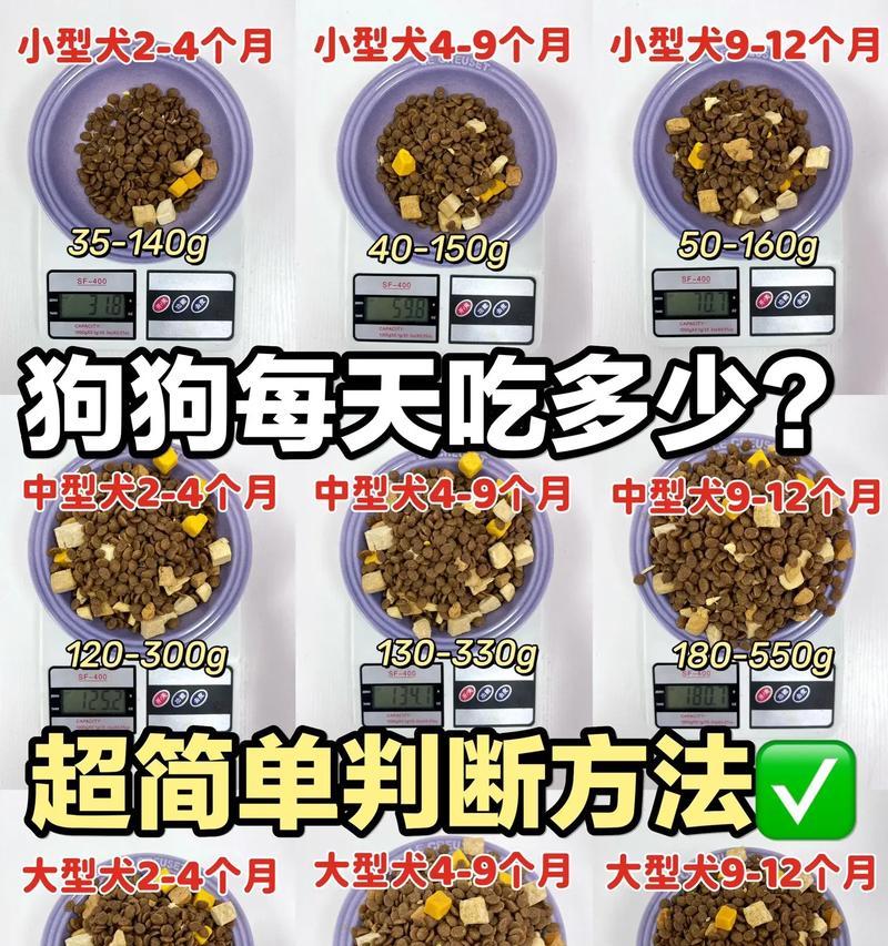 八个月大的德牧应该吃多少狗粮？如何计算合适量？