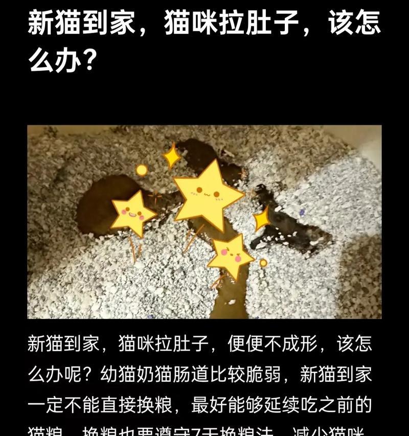幼猫喂食后拉稀是什么原因？如何处理？