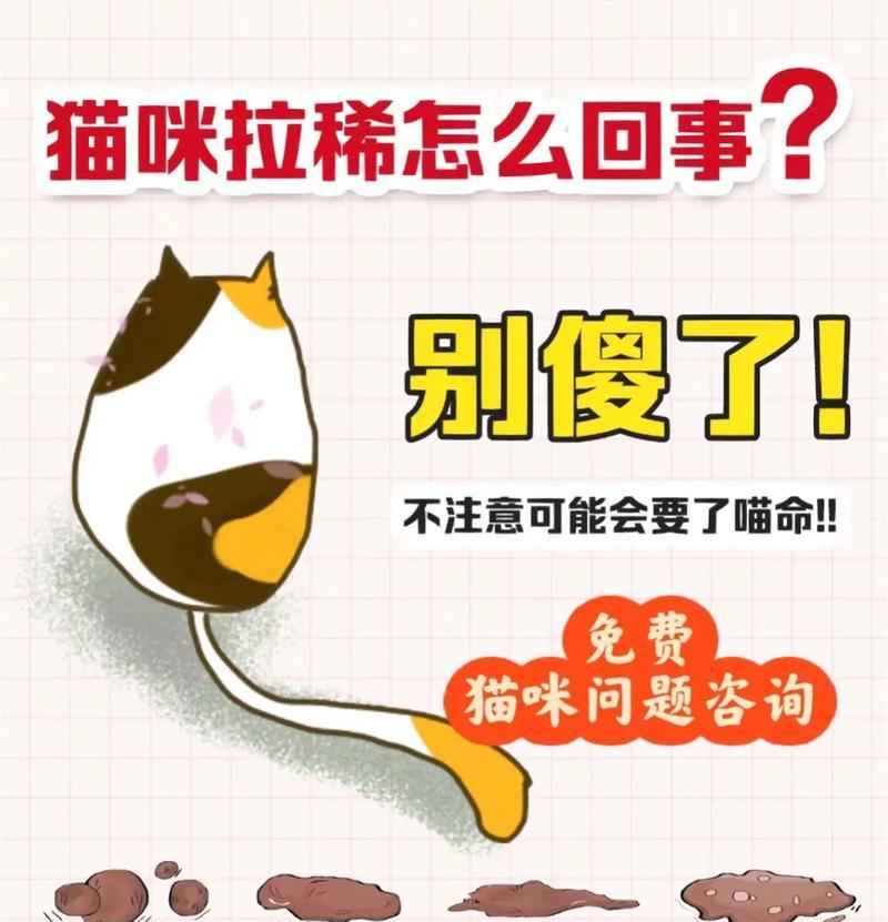 幼猫喂食后拉稀是什么原因？如何处理？