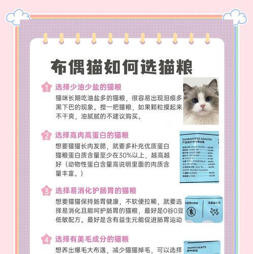 哪种猫粮适合布偶猫消化？如何选择？