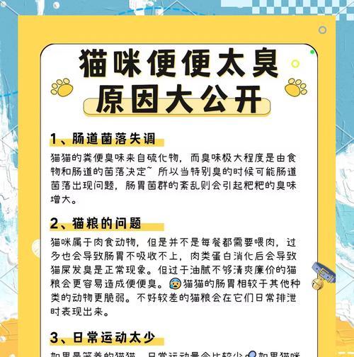 猫粮导致酸臭粪便？如何改善猫咪排泄问题？