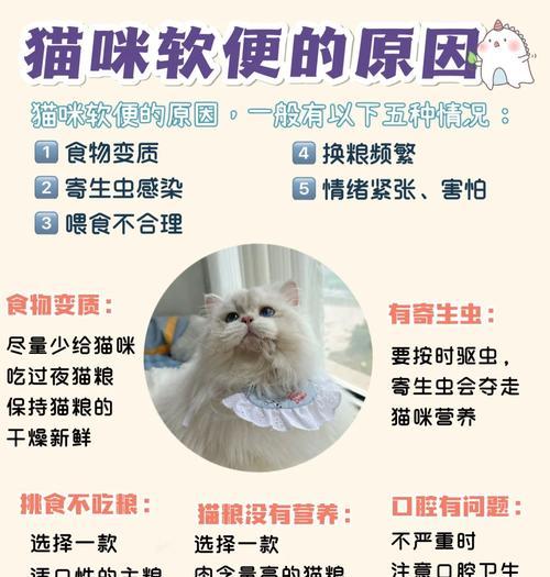 猫粮导致酸臭粪便？如何改善猫咪排泄问题？