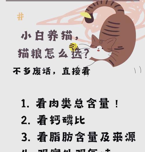 猫粮的成分是否适合鸡食用？