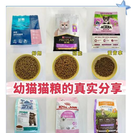 幼猫应该选择哪种猫粮？