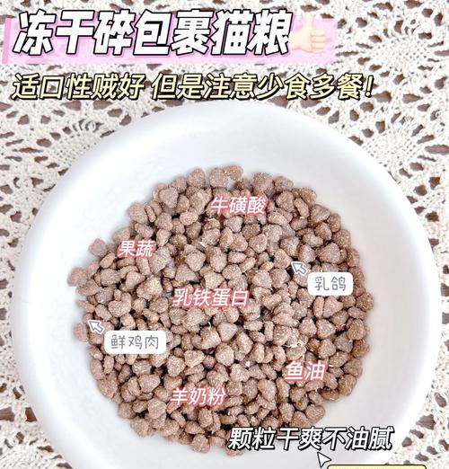 猫咪因吃猫粮被吓到应如何处理？