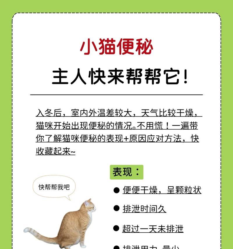 猫吃完猫粮后频繁排便是什么原因？是否需要调整饮食？