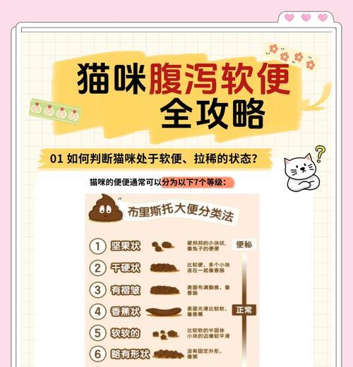 猫咪吃猫粮后拉肚子的原因是什么？如何解决？