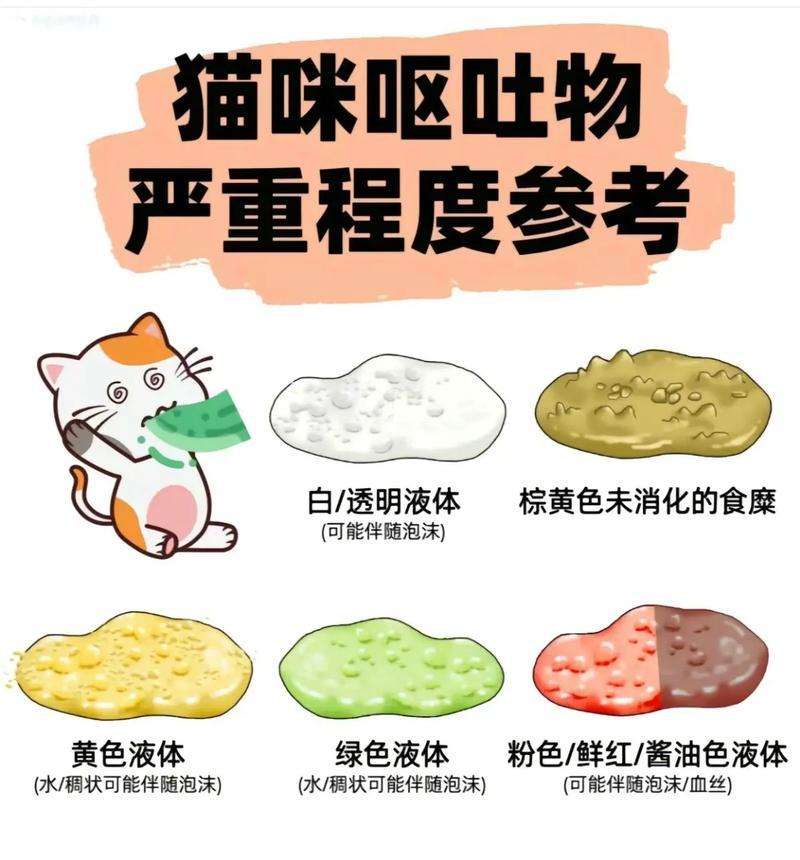 猫咪吃猫粮后拉肚子的原因是什么？如何解决？