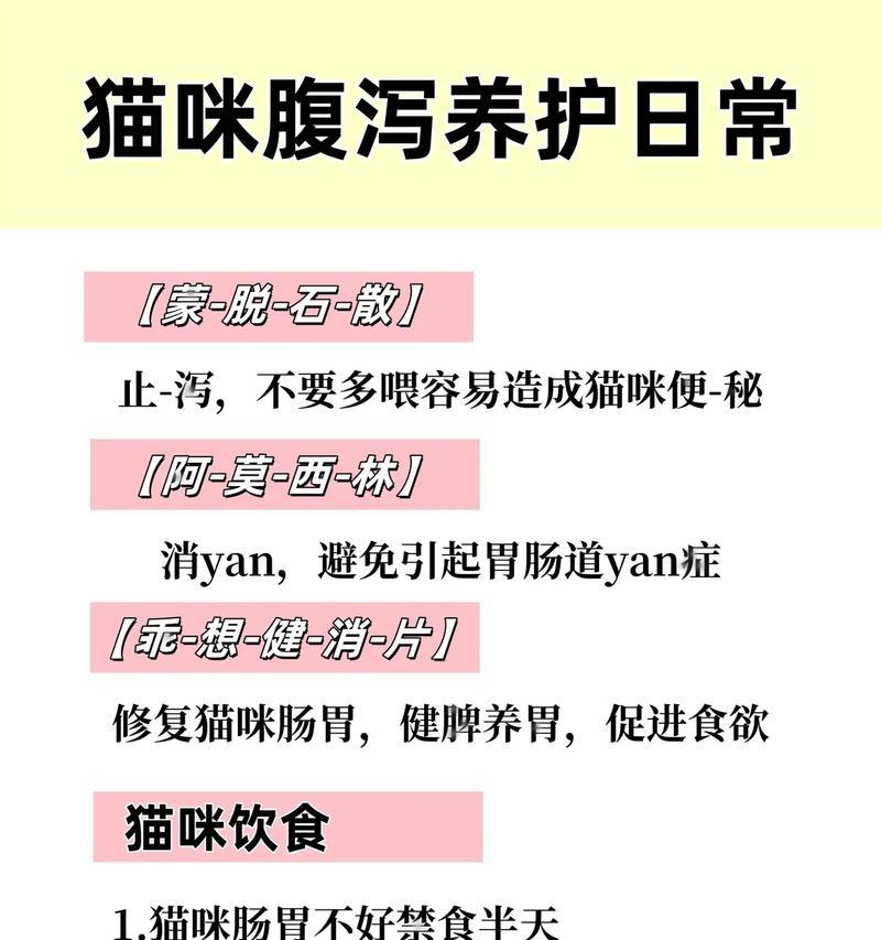 猫咪吃猫粮后拉肚子的原因是什么？如何解决？