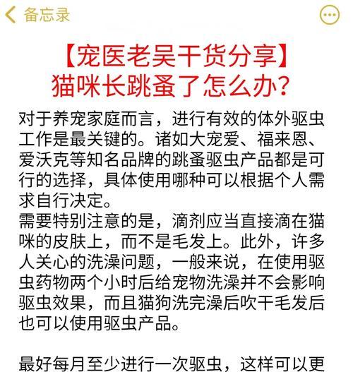 猫咪吃猫粮会长跳蚤吗？跳蚤的来源和预防方法是什么？