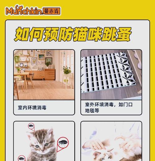 猫咪吃猫粮会长跳蚤吗？跳蚤的来源和预防方法是什么？