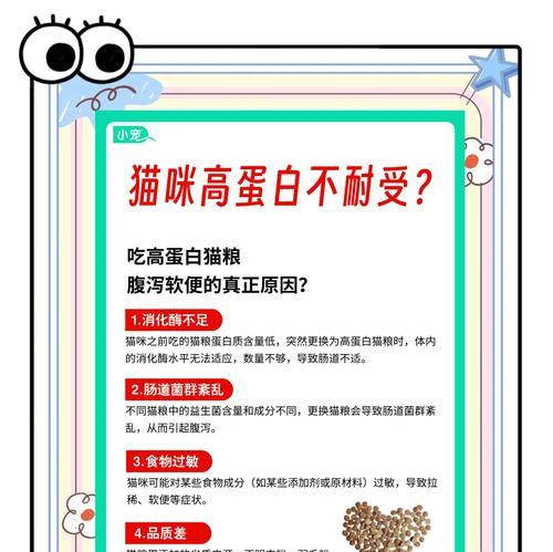 小猫咪吃猫粮特效药是什么？猫咪健康饮食的秘诀是什么？