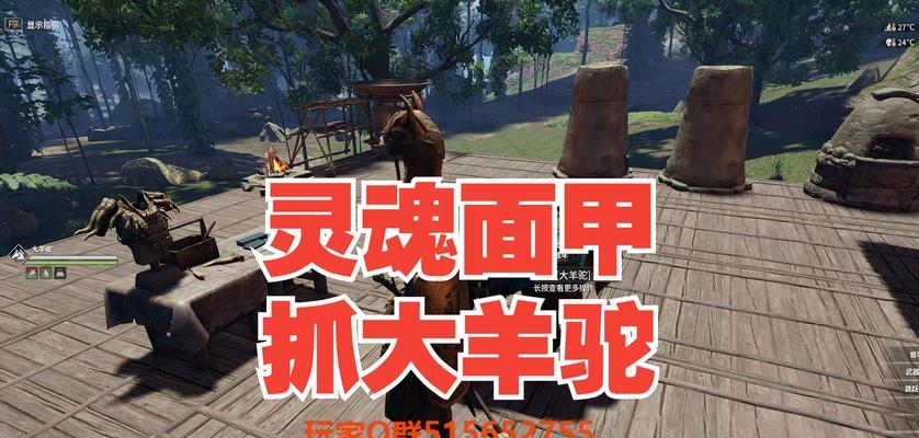 羊驼灵魂面甲应该喂什么食物？