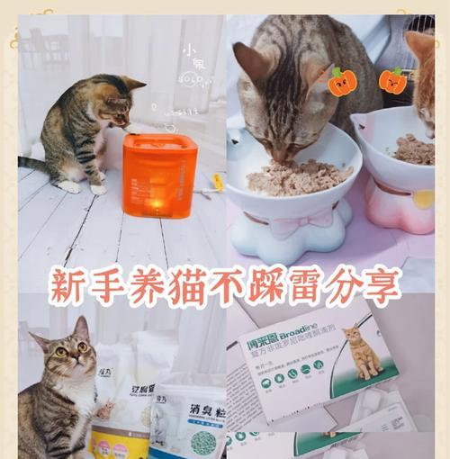 猫砂猫粮驱虫用什么好？如何选择合适的猫砂和猫粮？