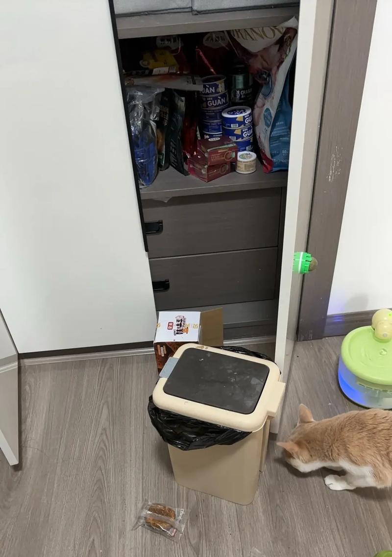 猫咪会拆东西吃猫粮吗为什么