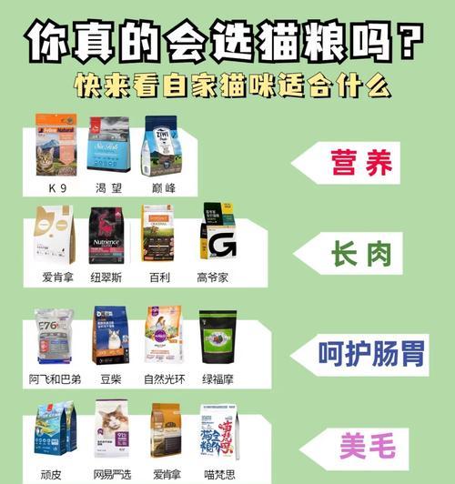 猫咪销售猫粮有哪些策略？如何提高销量？