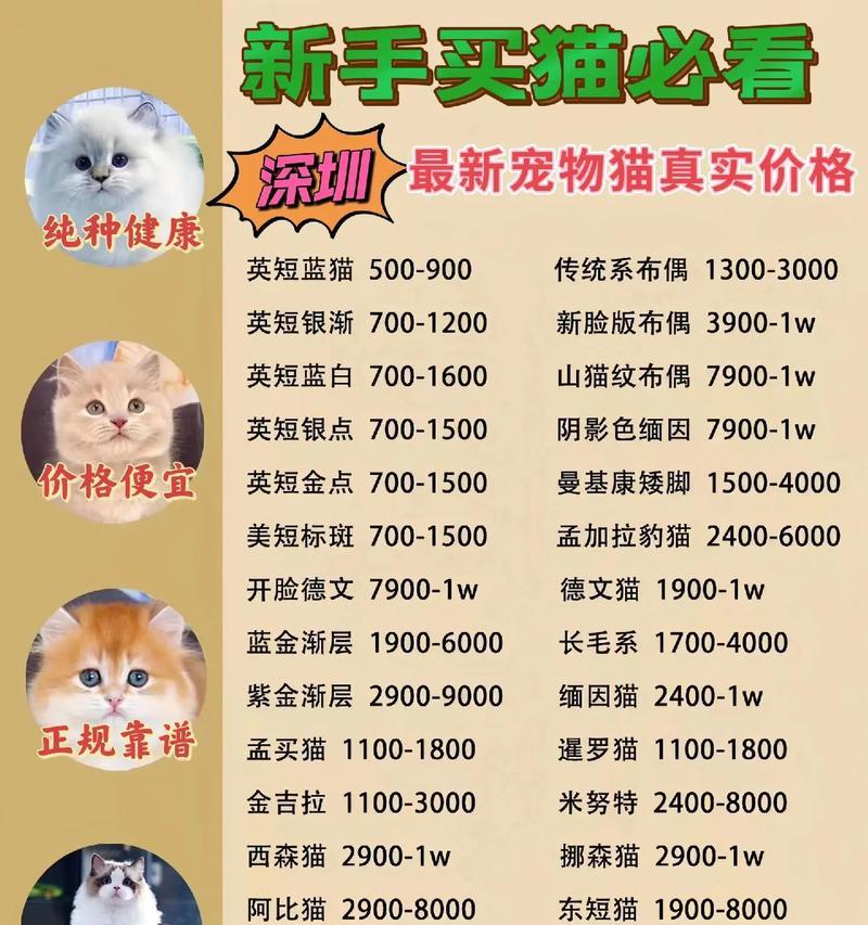 铜陵宠物店卖猫的地方在哪里？有哪些品种可供选择？