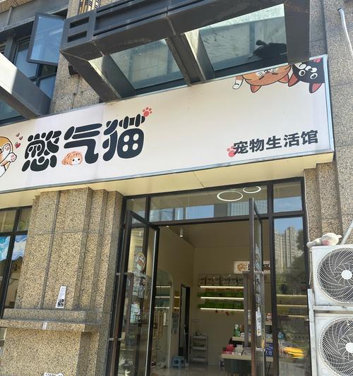 铜陵宠物店卖猫的地方在哪里？有哪些品种可供选择？