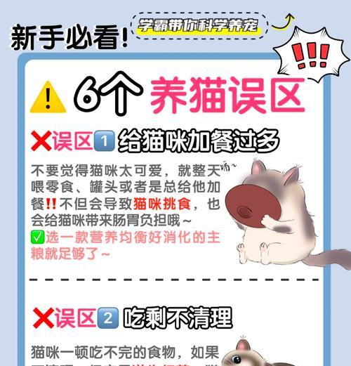 如何正确混喂猫淀粉粮？混喂的正确步骤是什么？
