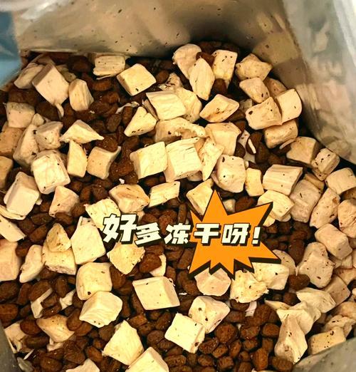 如何辨别比瑞吉猫粮的真伪？购买时应注意什么？