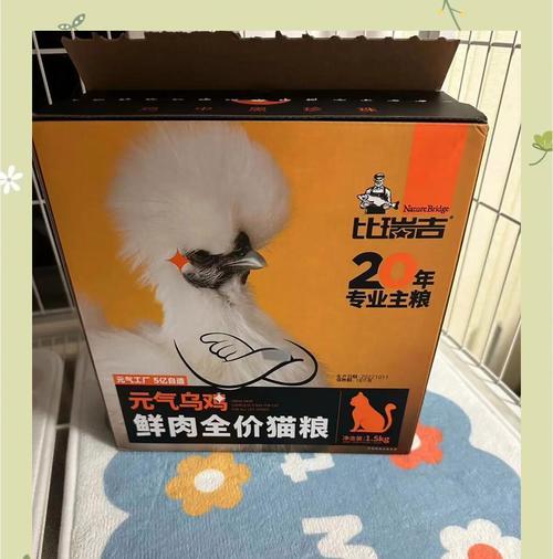 如何辨别比瑞吉猫粮的真伪？购买时应注意什么？