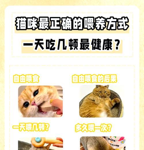 猫咪感冒时如何喂食猫粮？有哪些注意事项？