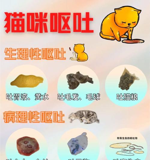猫咪呕吐胃液是猫粮问题吗？