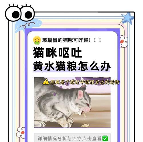 猫咪呕吐胃液是猫粮问题吗？