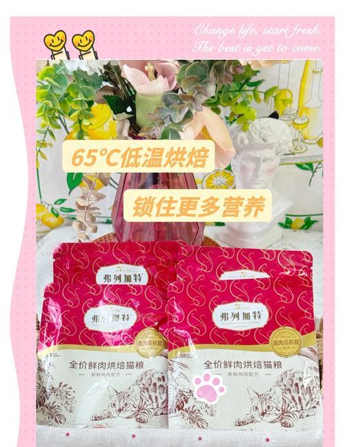 伯特利加猫粮口感如何？是否值得购买？