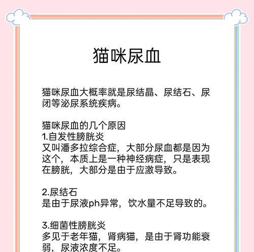 猫咪长期吃猫粮导致拉血是什么原因？应该采取哪些措施？