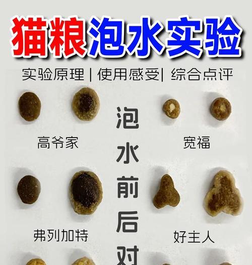 泡猫粮时应该使用什么水？如何检测猫粮是否适合泡水？