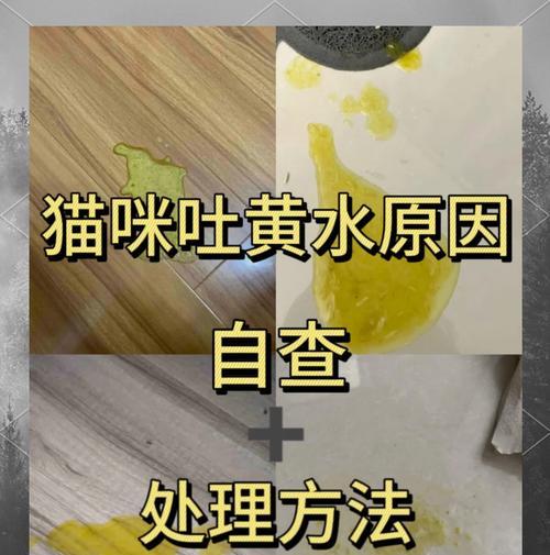 换粮后吐黄水是正常现象吗？如何处理？