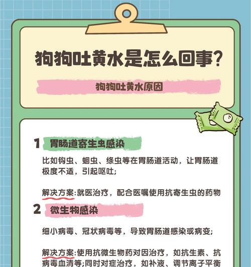 换粮后吐黄水是正常现象吗？如何处理？