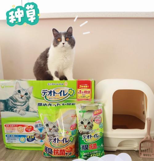 猫砂盆和猫粮盆的最佳摆放位置是什么？如何保持清洁？