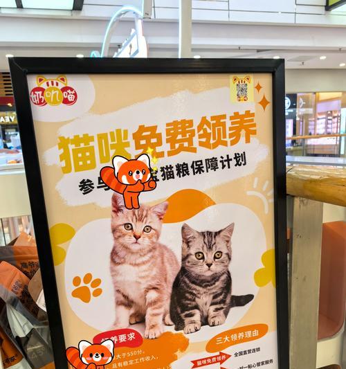 开网店卖猫粮需要哪些证件？如何办理相关证件？
