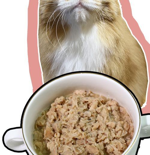 吃猫粮的人吃的饭菜叫什么？是否也有特别的称呼？